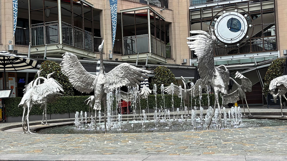 Water fountain in Darling Harbour