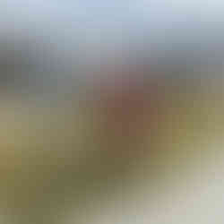 Michael posing at the Quad Bike Sign - beware they are crossing