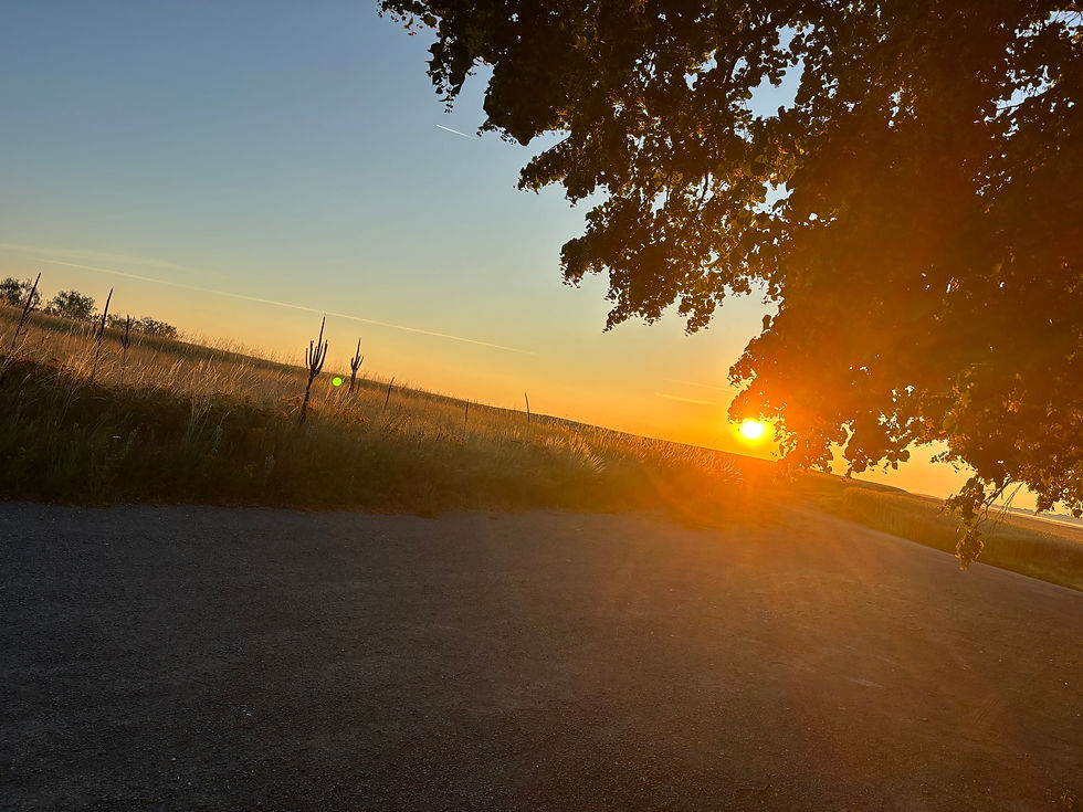 As the sun rises in Crelingen we have the start of a beautiful day