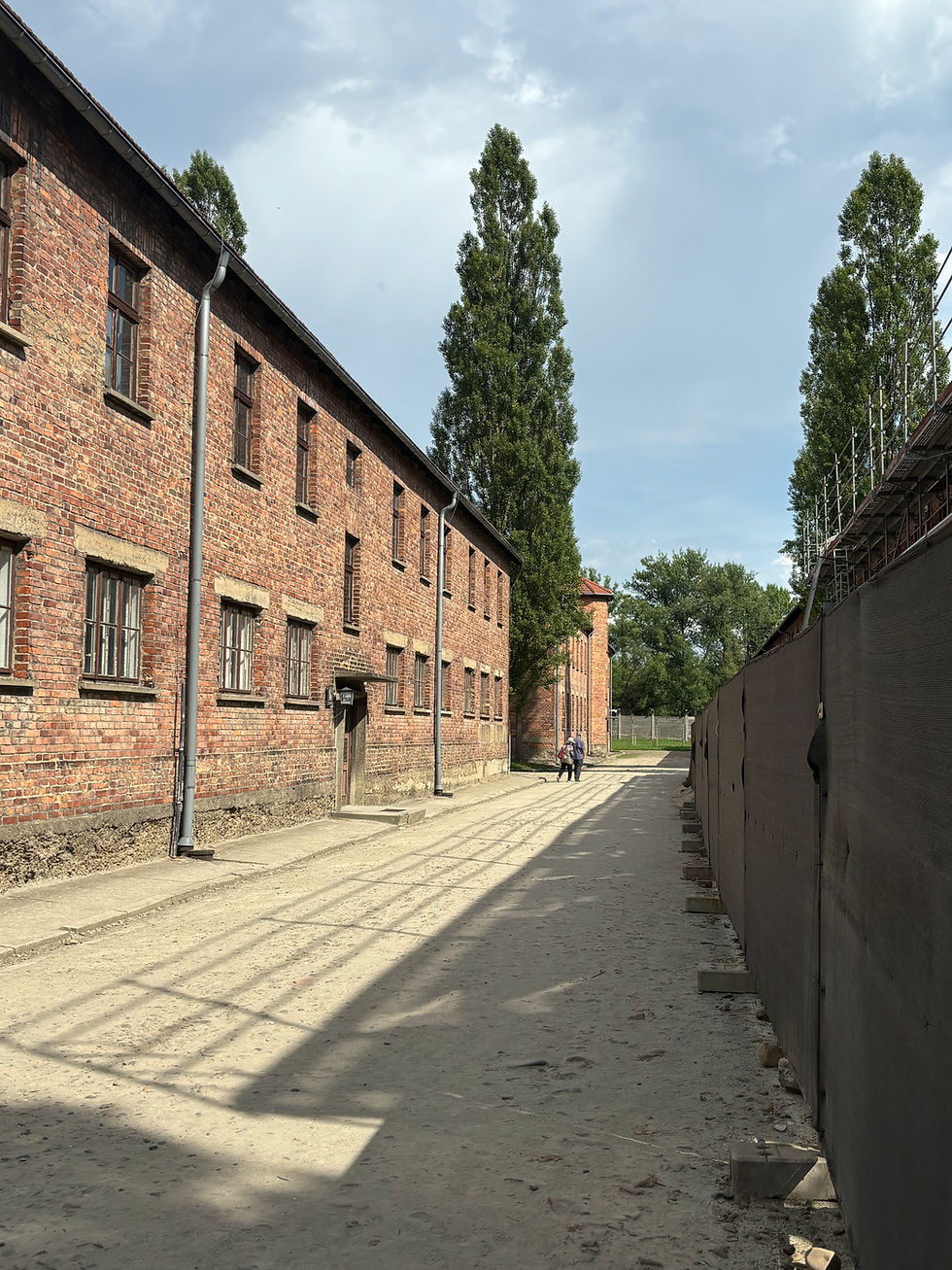This is block number 6