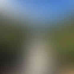 The swingbridge to cross the Gorge with blue skies and green trees