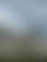 Crashing Waves at Kaikoura