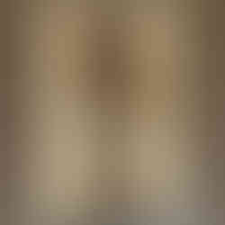 Anne Frank's House Anne Frank