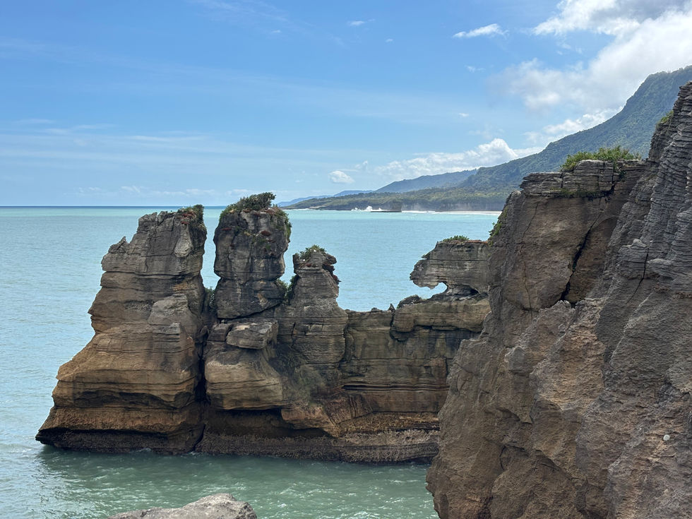 Seeing the different rock formations at Pancake rocks and how some look like creatures. Here you can see a wild cat eg lioness