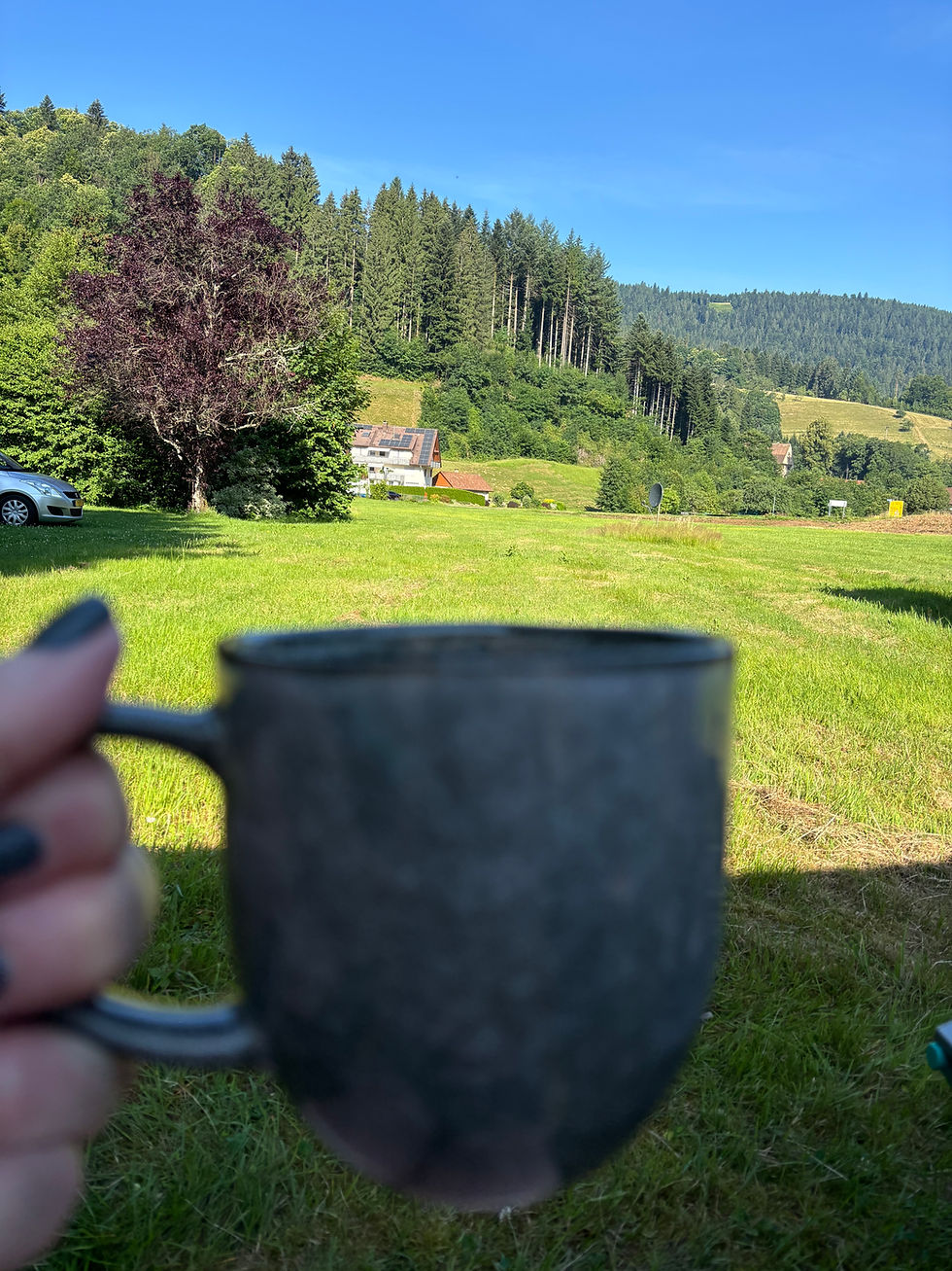 Beautiful morning to enjoy a fresh cafetière of coffee
