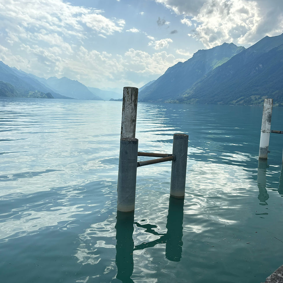 Mooring posts sticking out of the water on Lake Brienz