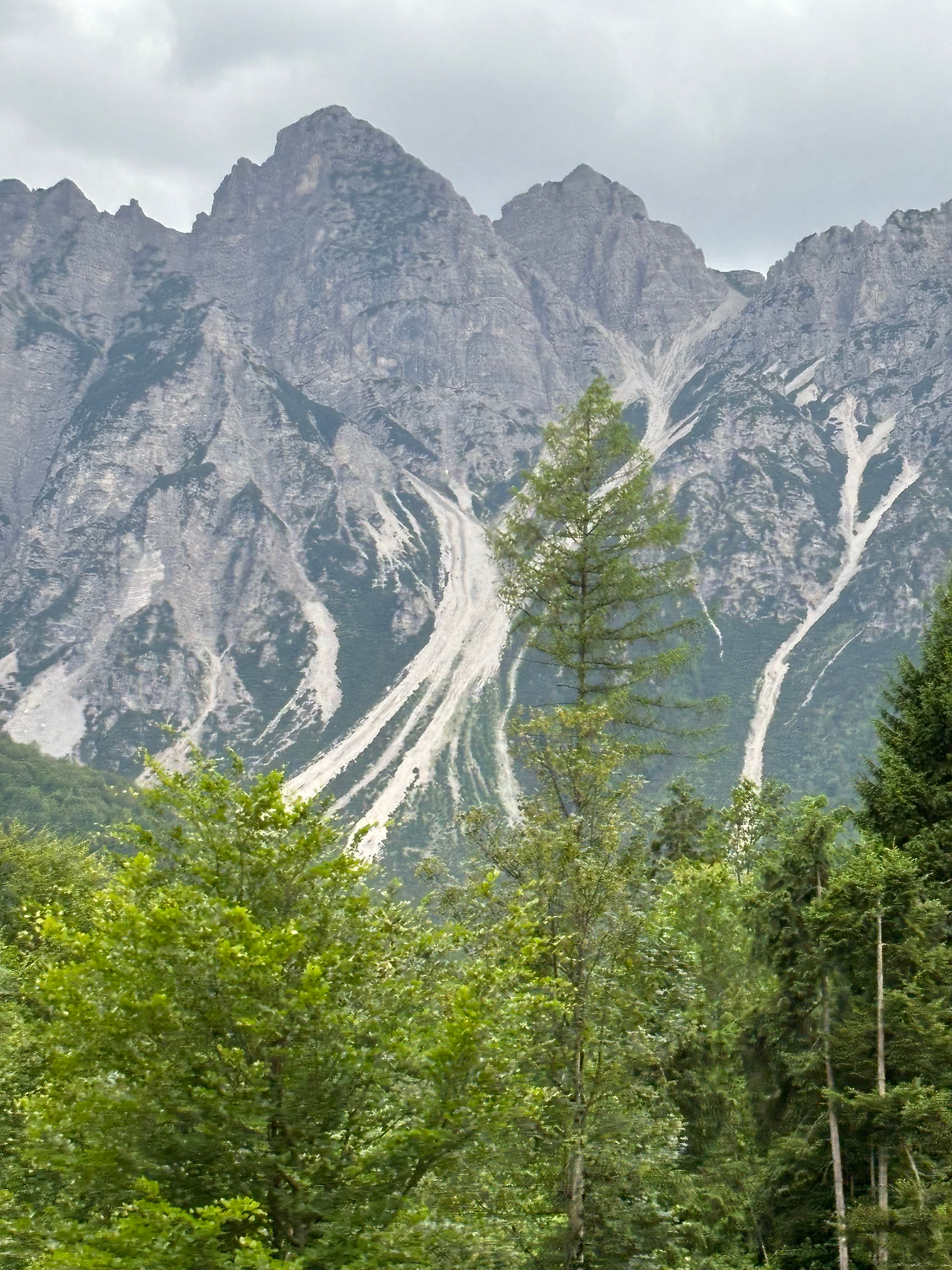 The dolomites from the roadside