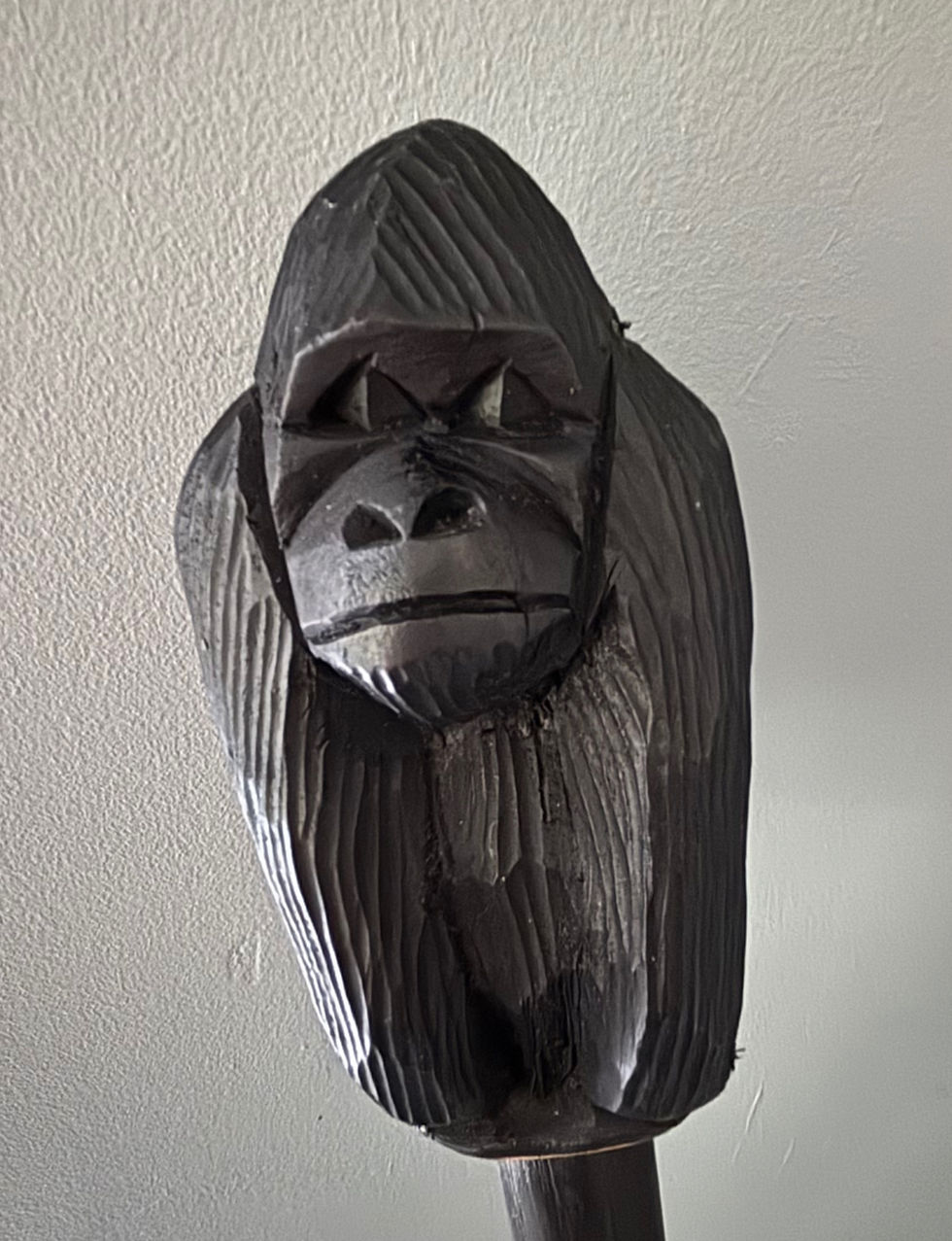 Michaels pole showing the silverback close up