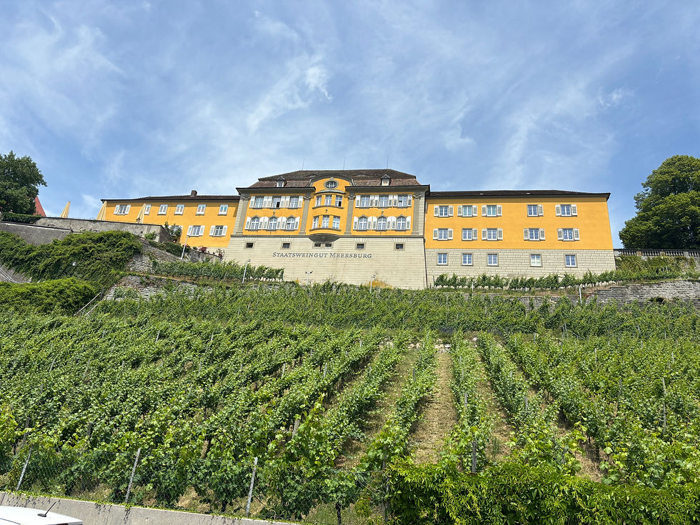 What a view across the vineyard to the harbour and we even heard people singing from inside the rooms