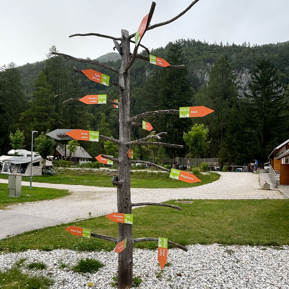 The way finding post at reception was a tree with branches, no leaves and signs attached. Good fun