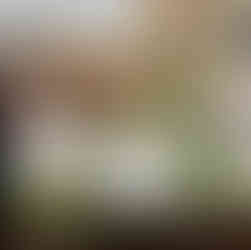 Amsterdam House boat with breakfast laid out