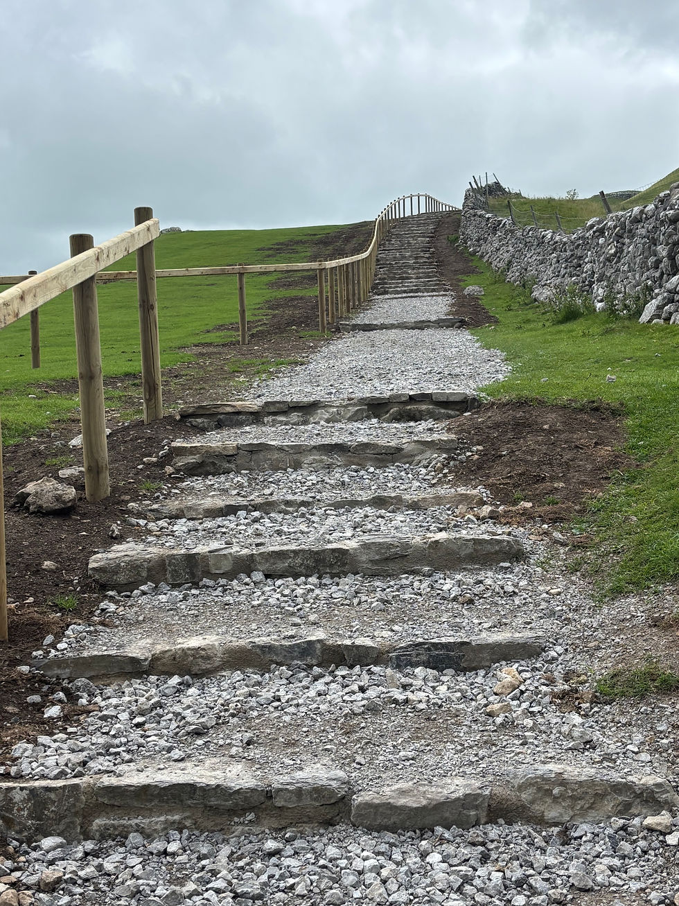 These steps ascending the hillside as fairly easy to climb especially with the handrail
