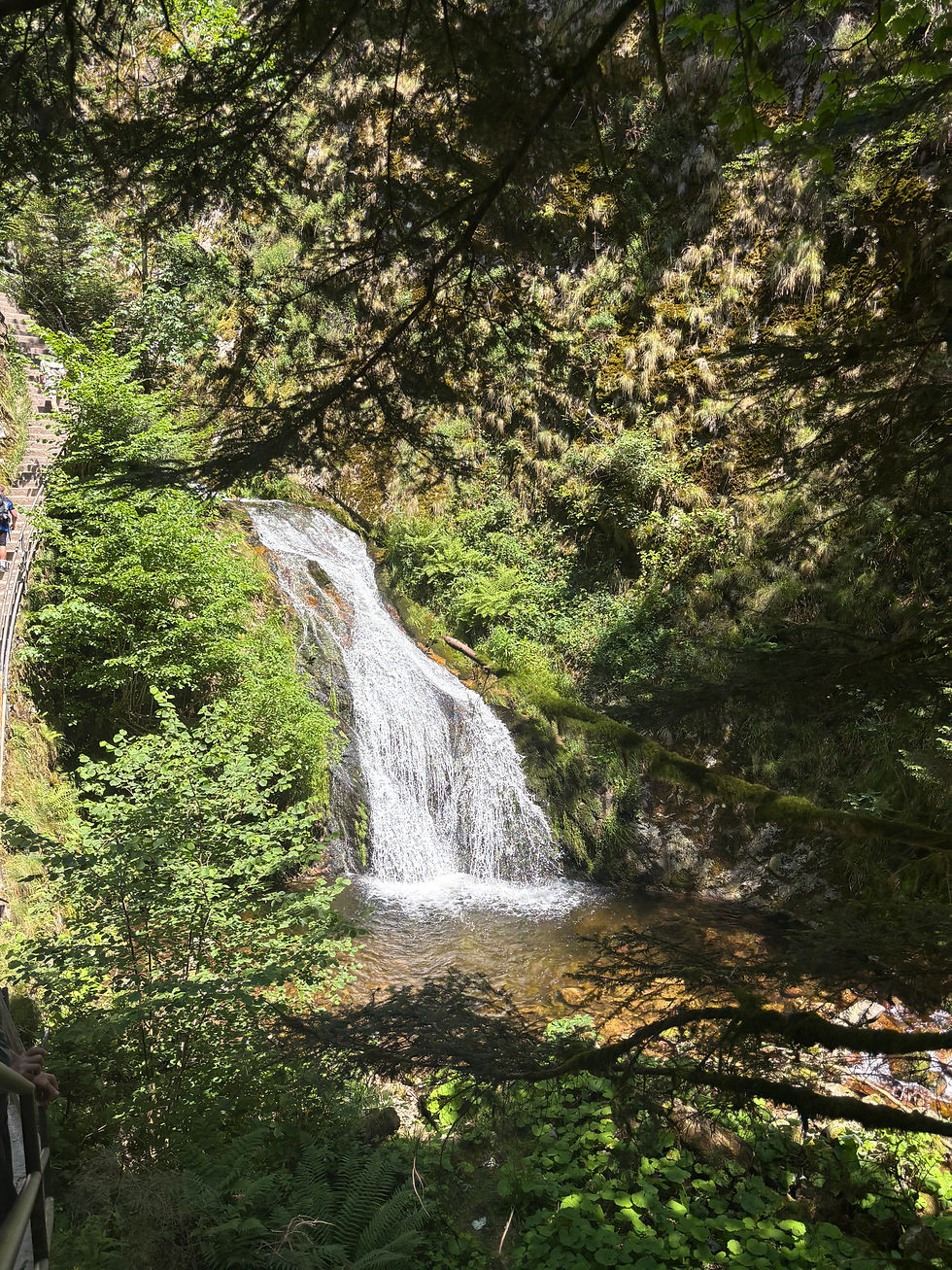 The waterfall cascading over the rocks