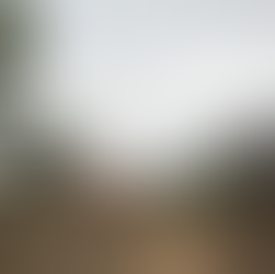 Image de la pagode du centre Dharma de Tiruvannamalai