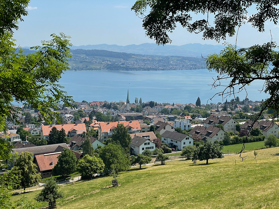 Panorama Wädenswil am Zürichsee