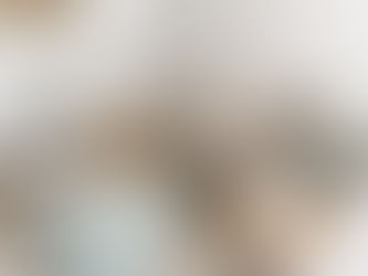 Project Reveal - Noosa Heads Project PART II: Entry, Living, Dining and Bedrooms