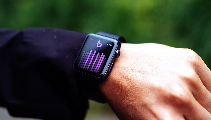 Biomotum smart watch interface