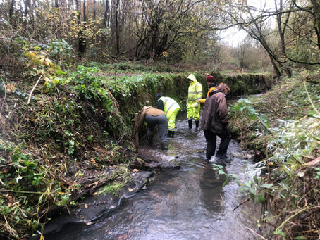 Mersey Rivers Trust