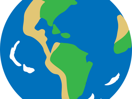 Litter: Costing the Earth
