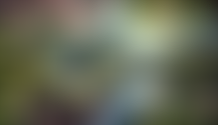 8 Steps to a Fulfilling Life - The Ikigai Way