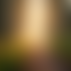 The Role of a Spiritual Mentor in Your Life: Embracing Personalized Spiritual Mentoring