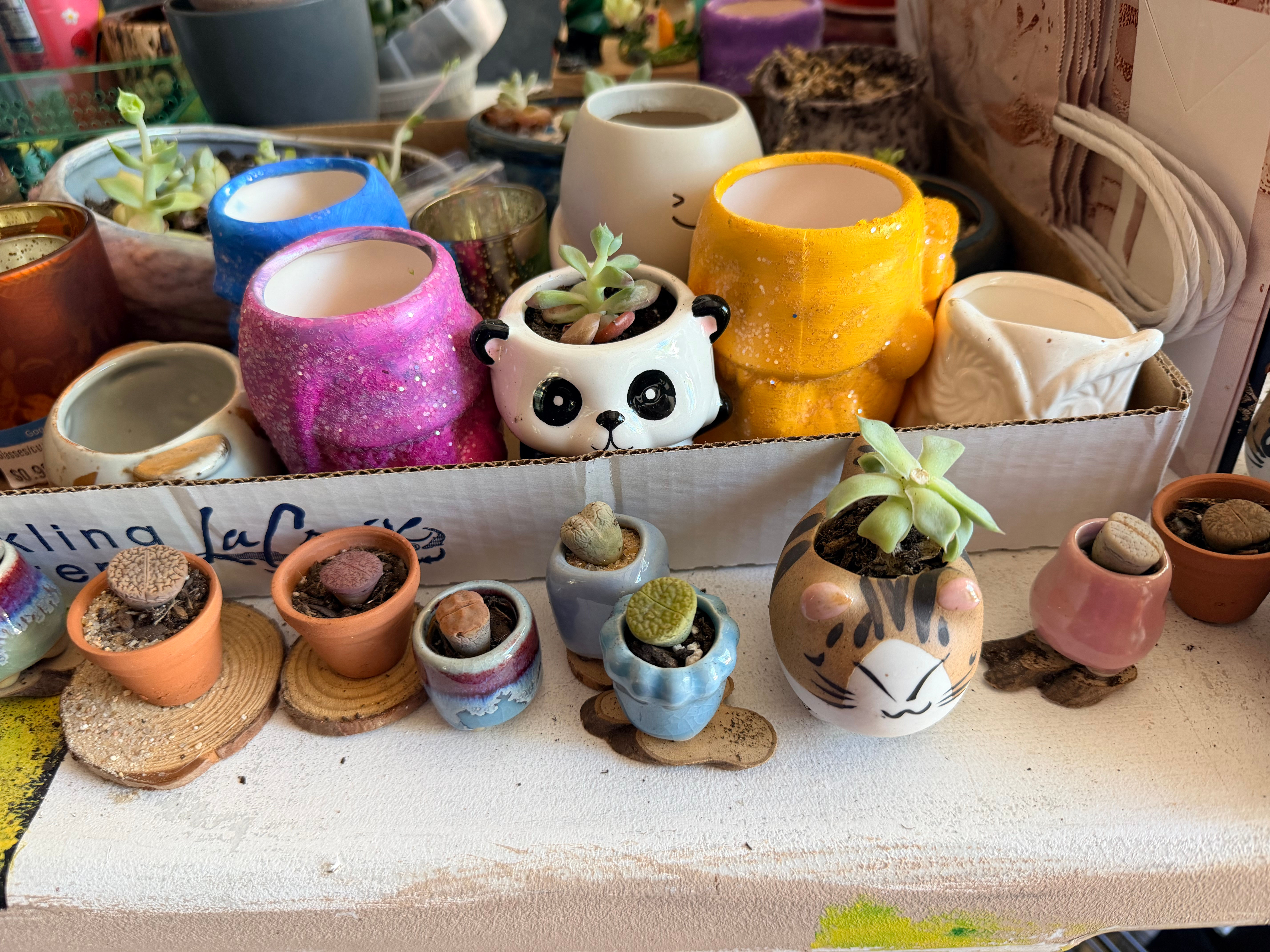 Small fairy pots