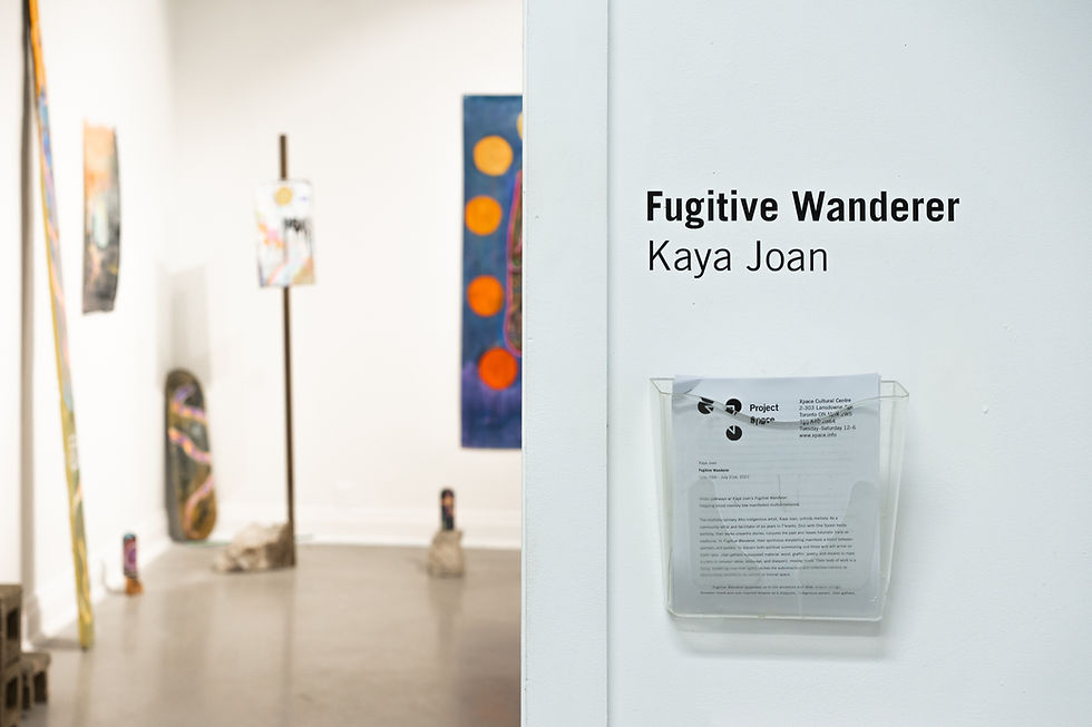 Fugitive Wanderer install detail. photo credit Polina Teif