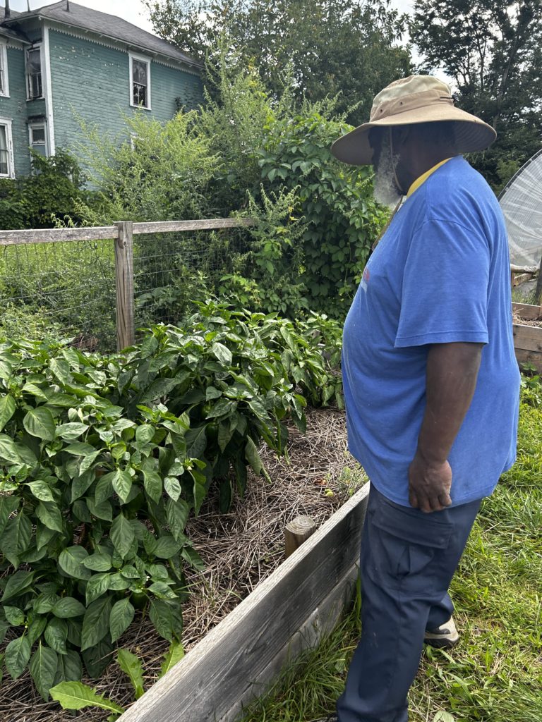 Wes shows off his beautiful green peppers at the Interfaith Community Garden.