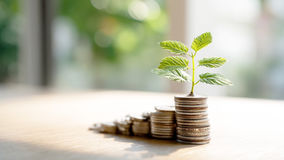 資産運用は自分自身の心との闘い