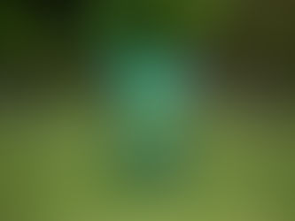 Voorjaar in zicht? Eerst de bodem wakker maken.