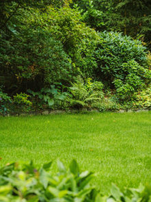 Wat betekent langzame afgifte voor jou bodem?