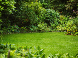 Wat betekent langzame afgifte voor jou bodem?