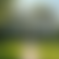 Streamlined Property Management Services for Hassle-Free Rentals