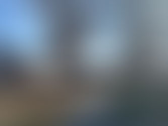 Tree Trimming Project