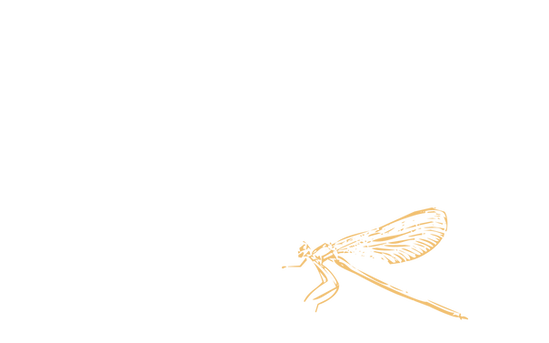 Libellule.png
