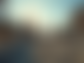 Effective QSR Project Management Practices