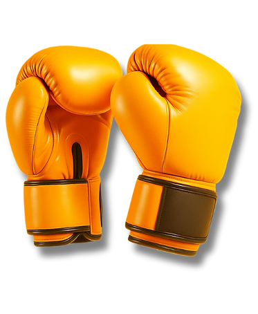web-cn2-sparring.png