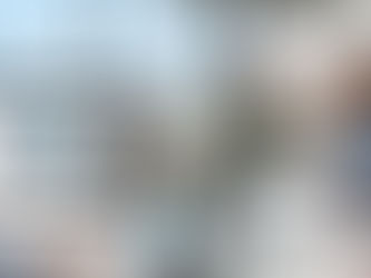 Web Design in Charlotte NC