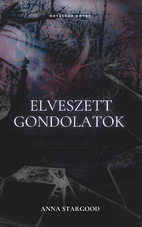 elveszett gondolatok (1).png