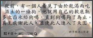精選金句の善待動物