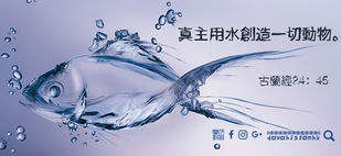 古蘭經奇蹟の水