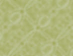 COVER 1.jpg