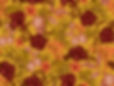 LI_S3_Palmas_FVC1 copy.jpg