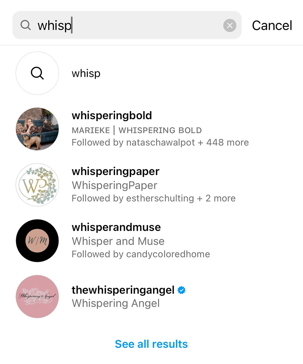 Instagram Handle Search