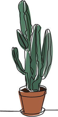 cactus illustration