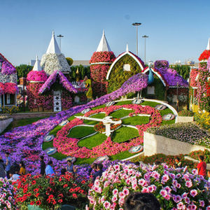 Dubai Garden. Colorful garden with floral houses and a large flower clock. Crowds admire vibrant blooms under a clear blue sky, creating a cheerful atmosphere.