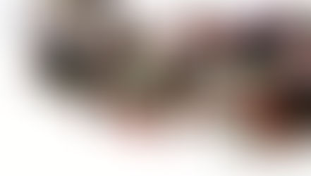 Why Christians Think Homosexuality is a Sin