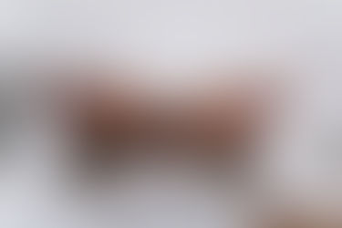 The Sources of the Quran