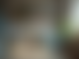 Why You Should Hire Professional Home Services