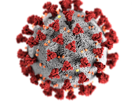 Untitled design (3).png